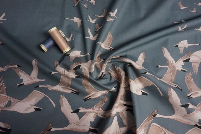 Friendship-Migration-1-1