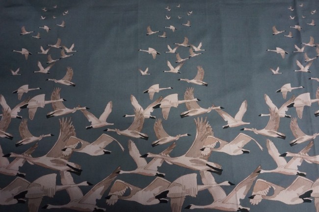 Friendship-Migration-2