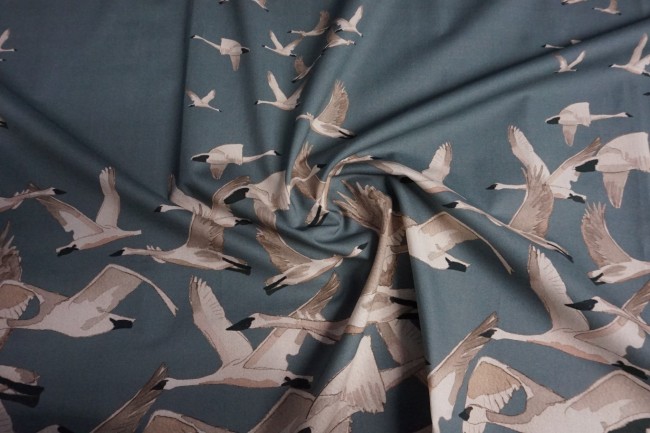 Friendship-Migration